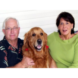 Florida Real Estate Outlet 2