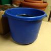 Horse Flat Back Bucket Horse Flat Back Bucket