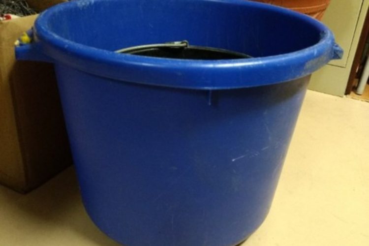 Horse Flat Back Bucket Horse Flat Back Bucket