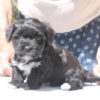 Roseanne, 5 weeks (left), best Roseanne, 5 weeks (left), best
