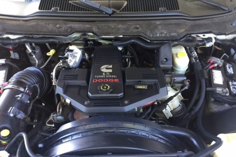 dodge 9 dodge 9