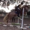Jensen Jumping Jensen Jumping