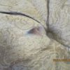 IMG_2325 IMG_2325
