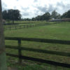 IMG_3206 IMG_3206