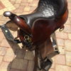 Screenshot_20180430-061633 Screenshot_20180430-061633