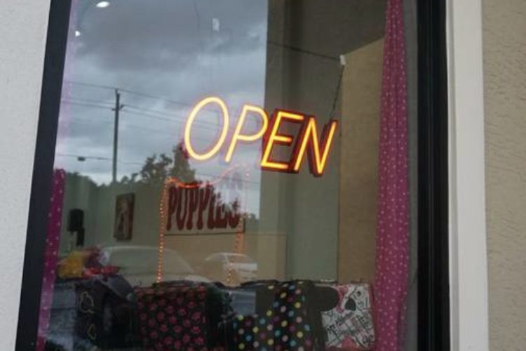 puppy shop Summerfield, fl puppy shop Summerfield, fl