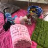 puppies4444 puppies4444