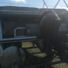 IMG_1796 IMG_1796
