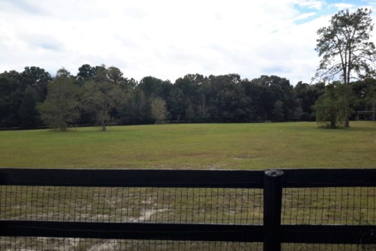 Fenced Pasture Fenced Pasture