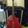 Ibanez Ibanez