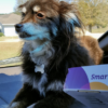 Screenshot_20181011-204538 Screenshot_20181011-204538