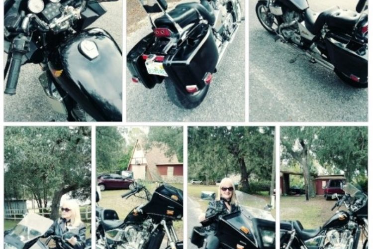 bike collage 2 bike collage 2