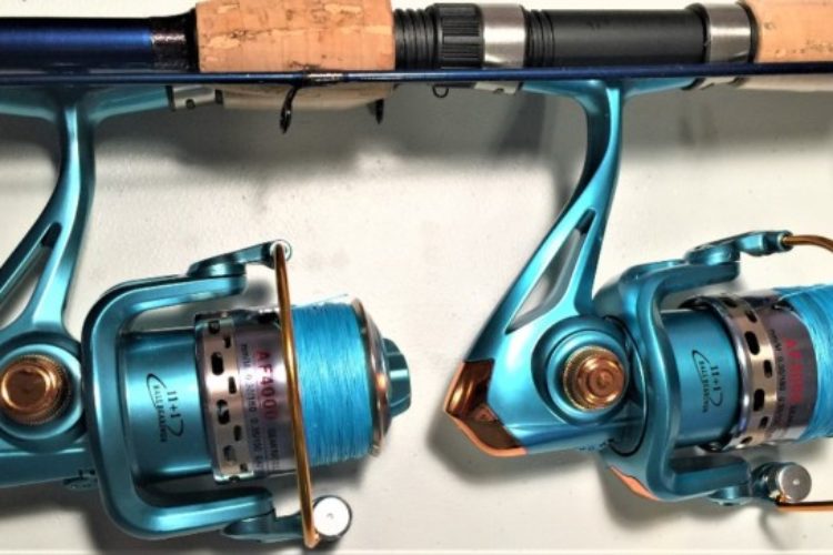 4. Master Spectra & AF4000 w Blue Braid 4. Master Spectra & AF4000 w Blue Braid