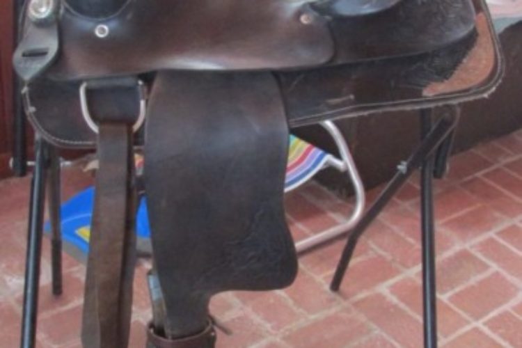 tack for sale 003 tack for sale 003