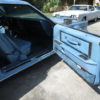 IMG_9514 IMG_9514