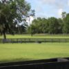 IMG_2332 IMG_2332