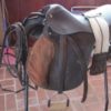 tack for sale 004 tack for sale 004