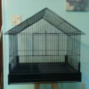 IMG_1663 IMG_1663