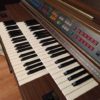 organ1 organ1
