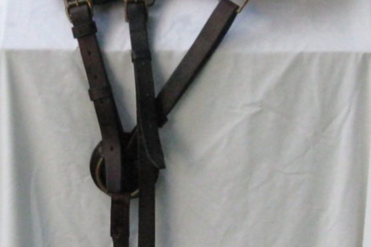 saddle 2 saddle 2