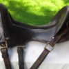 saddle 1 saddle 1