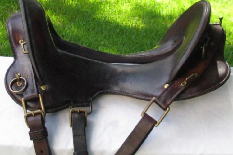 saddle 1 saddle 1