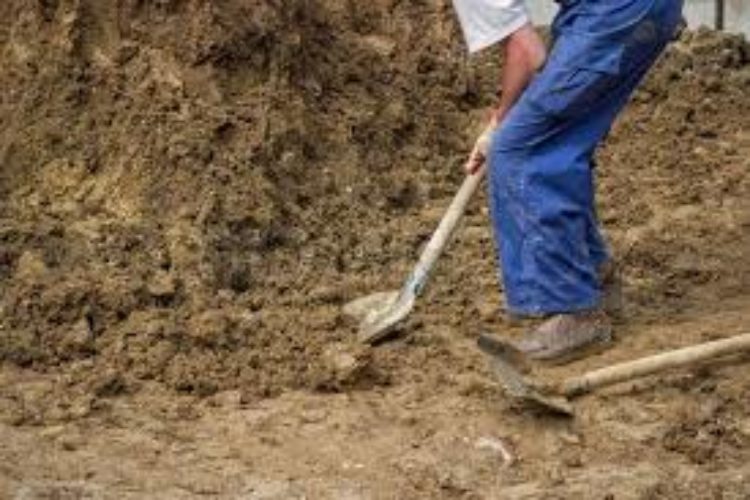 Labor Labor