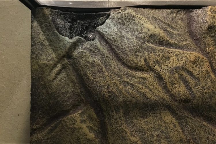 Tank Foam Terrarium Aquarium Tank Foam Terrarium Aquarium