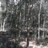 20190129_110859 20190129_110859