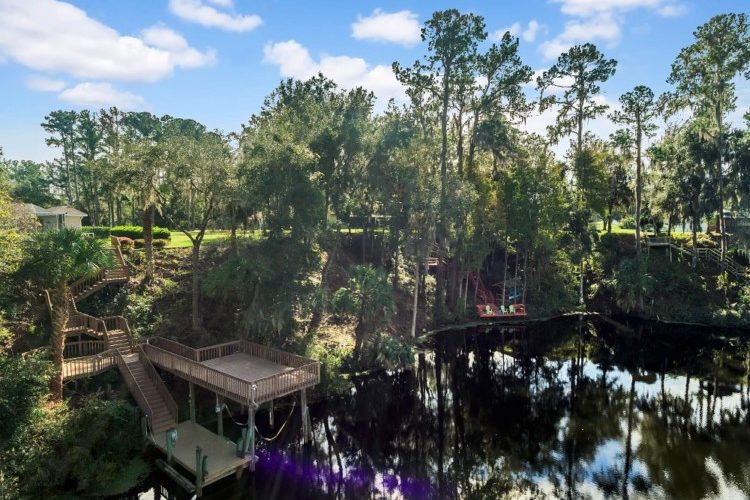 11900-N-Bluff-Cove-Path--Dunnellon--FL-34434----05---Aerial 11900-N-Bluff-Cove-Path--Dunnellon--FL-34434----05---Aerial