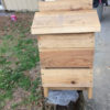 IMG_3172 IMG_3172