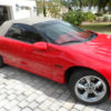SAM_1138 SAM_1138