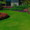 BeautifulBackyard - mobile BeautifulBackyard - mobile
