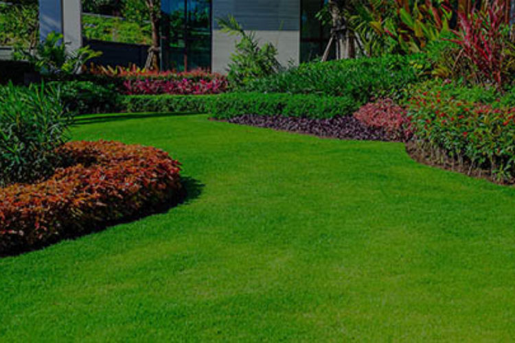 BeautifulBackyard - mobile BeautifulBackyard - mobile