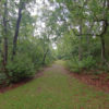 0426191021_HDR-2-2 0426191021_HDR-2-2