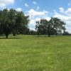 IMG_4735 PASTURE IMG_4735 PASTURE