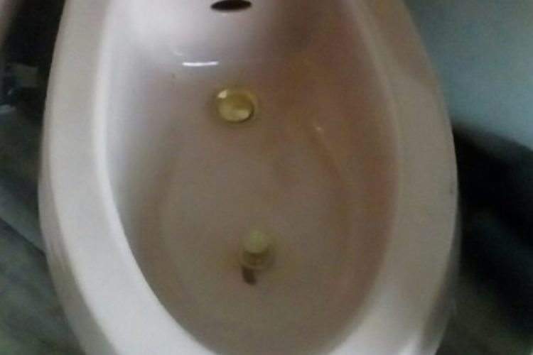 4 4