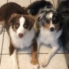 Cassie & Cooper Cassie & Cooper