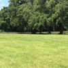 IMG_4737 PASTURE IMG_4737 PASTURE