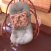 IMG_0407 IMG_0407
