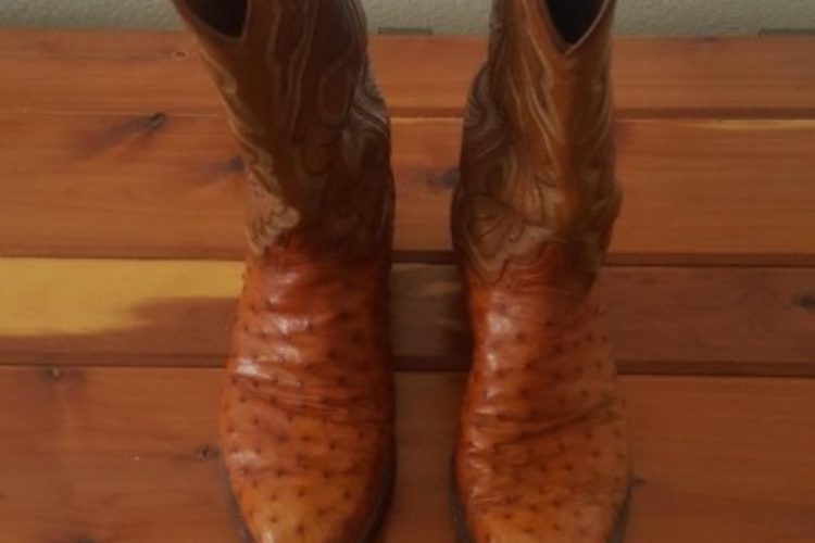 boot boot