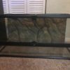 reptile terrarium aquarium reptile terrarium aquarium