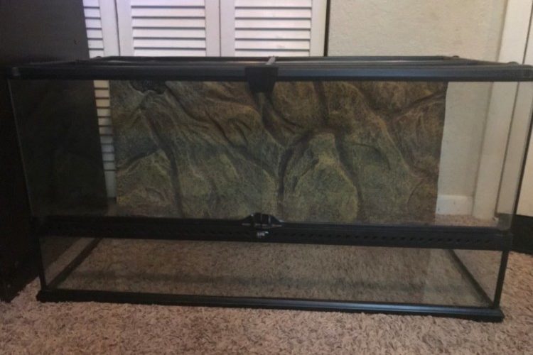 reptile terrarium aquarium reptile terrarium aquarium