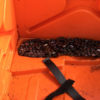 IMG_3906_a IMG_3906_a