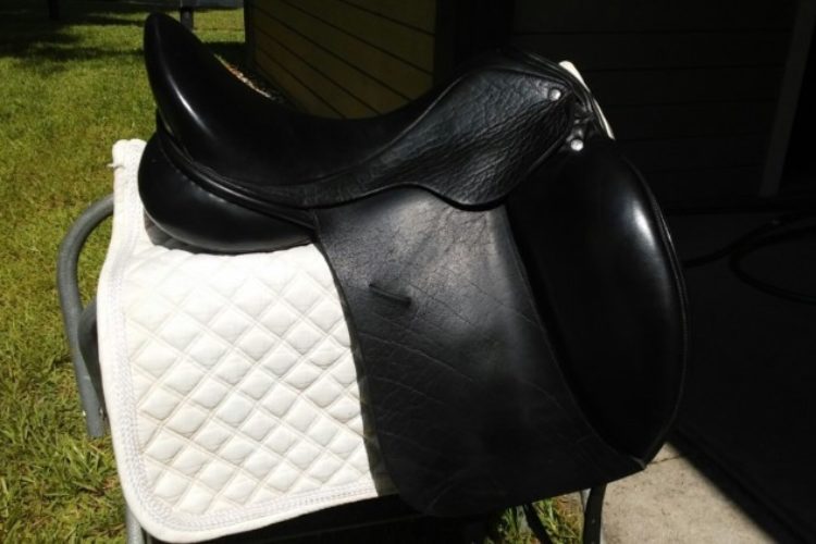 Right side saddle Right side saddle