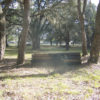 100_1333 100_1333