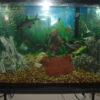 DSCF3522 DSCF3522