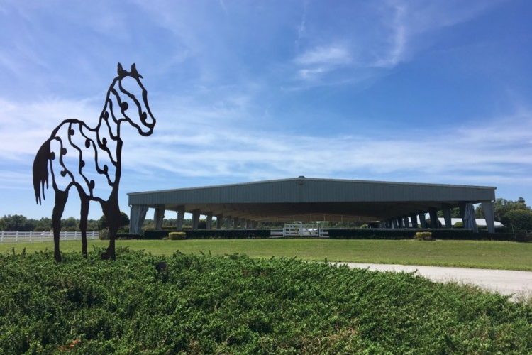 Arena Arena