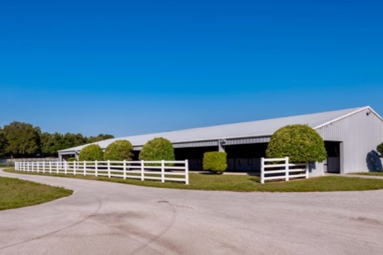 Barn Barn