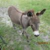 IMG_3422 IMG_3422